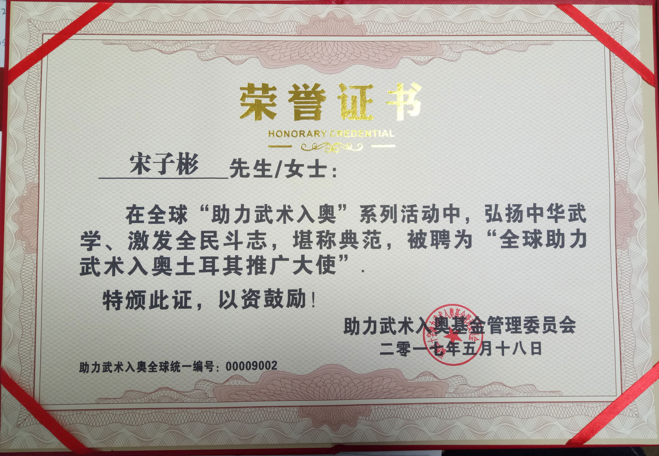 全球助力武术入奥统一编号00009002——宋子彬jpg